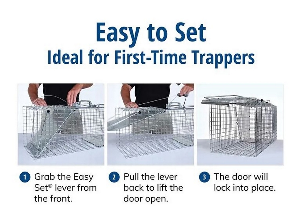 Havahart 1083 Écureuil